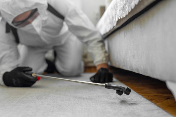 Professional Emergency Pest Control technician working in East Shoreham, NY